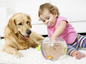 Chem-Dry carpet cleaning is safe for your loved ones